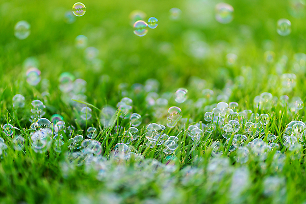 포토 JPG 해외이미지 공원 행복 어린이 백그라운드 장난 공 자연 놀이 표면 잔디 사람없음 야외 초록색 빛 태양 맑음 봄 거품 기쁨 원형 투명 액체 떨어짐 불기 질감 비누 광택 공상 여의주 타격 해외포토 자연요소 도형 식물 계절 공공시설 감정 컬러 컨셉 모션 날씨 사람 위생용품 생태계 파일형식 이미지허브