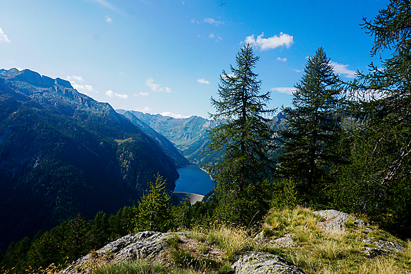 포토 JPG 해외이미지 나무 호수 자연 하늘 산 파노라마 사람없음 야외 물 여름 관광지 환경 시골 저수지 정상 댐 사회이슈 스위스 장면 무료 보호구역 콘크리트 산맥 해외포토 자연요소 식물 계절 공공시설 유럽 여행 컨셉 촬영기법 생태계 구역 파일형식 이미지허브