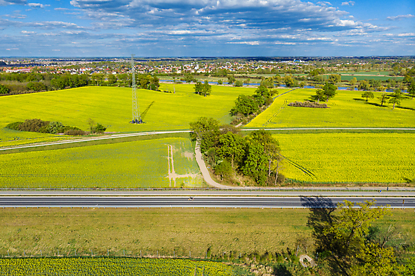 포토 JPG 해외이미지 나무 식물 구름 응시 계절 유럽 도로 여행 밭 농업 자동차 자연 하늘 거리 안테나 풍경 사람없음 야외 초록색 파란색 태양 노란색 환경 맑음 봄 시골 고속도로 폴란드 내추럴 드론 브로츠와프 화창 해외포토 자연요소 시선 나라 산업 길 육상교통 컬러 통신 교통시설 날씨 생태계 파일형식 이미지허브