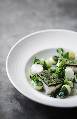 포토 JPG 해외이미지 접시 음식 채소 건강 어류 요리 미술 사람없음 장식 초록색 유행 식당 와인 식사 껍질 흰색 발표 클래식 고급 우아함 샴페인 굽기 지중해 레몬 허브 크림 유기농 올리브 심플 기본 특별함 스타일 세련 미니멀리스트 미니멀 해외포토 식물 식기 웰빙 열매 바다 컬러 컨셉 과일 문화예술 주류 상점 수중동물 구이 파일형식 이미지허브