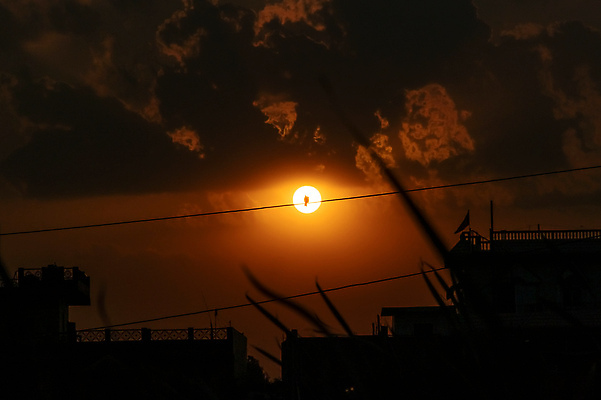 포토 JPG 해외이미지 나무 동물 응시 실루엣 야생동물 빵 포즈 백그라운드 날개 모션 자연 조류 휴식 생물 손바닥 사람없음 야외 환경 일몰 회색 습기 젖음 바 작음 부리 철사 동물상 사방 생태학 수유 혼자 해외포토 식물 손 시선 교육 음식 컬러 컨셉 촬영기법 조형물 노을 크기 생태계 파일형식 이미지허브