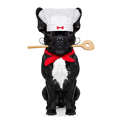 포토 JPG 해외이미지 동물 직업 식기 접시 음식 장갑 유니폼 다이어트 요리 사람없음 반려동물 주방 요식업 식당 요리사 목도리 식사 저녁식사 기구 업무 유머 개 맛 아침식사 먹이 먹기 기아 배고픔 서비스 메뉴 레시피 불독 송곳니 프랑스어 점심식사 고립 식욕 제빵사 캡모자 해외포토 문자 모자_잡화 잡화 옷 감정 산업 컨셉 포유류 모션 건강 상점 작업 치아 사회이슈 파일형식 이미지허브