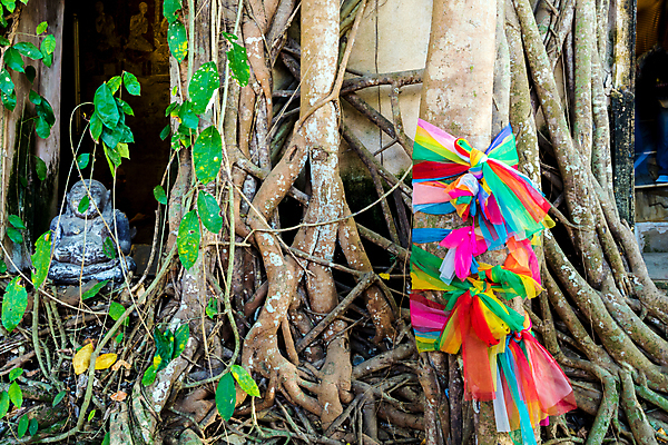 포토 JPG 해외이미지 나무 식물 종교 문화 벽 여행 백그라운드 패턴 건축양식 자연 벽돌 사람없음 야외 건물 목재 갈색 환경 골동품 바위 숲 큼 질감 뿌리 내추럴 옛날 잠금해제 해외포토 건축물 건축 컬러 무늬 재료 돌_바위 크기 생태계 파일형식 이미지허브