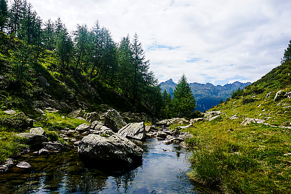 포토 JPG 해외이미지 나무 유럽 호수 여행 자연 하늘 산 파노라마 풍경 사람없음 야외 물 여름 파란색 컬러풀 반사 계곡 스위스 알프스 장면 산악지대 전국 절정 산맥 해외포토 자연요소 식물 계절 나라 컬러 촬영기법 생태계 파일형식 이미지허브