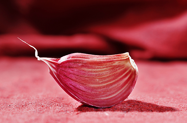 포토 JPG 해외이미지 스튜디오촬영 음식 백그라운드 채소 재료 전구 건강 마늘 요리 사람없음 보라색 수확 흰색 신선 양념 조미료 맛 향신료 유기농 매움 날것 향 생식 숙성 채식주의자 카피스페이스 해외포토 웰빙 컬러 컨셉 농업 실내 공백 채식 향미료 파일형식 이미지허브