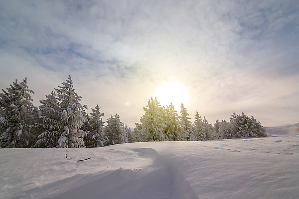 포토 JPG 해외이미지 나무 구름 계절 여행 백그라운드 크리스마스 겨울 자연 하늘 아침 동화 휴가 산 풍경 사람없음 야외 목재 컬러풀 햇빛 태양 일출 환경 냉동 얼음 일몰 놀람 새벽 하이킹 추위 덮개 백발 숲 즐거움 서리 전나무 강렬 폭설 눈내림 가문비나무 환상 해외포토 주간 자연요소 식물 헤어스타일 기념일 감정 컬러 컨셉 재료 레저 눈_날씨 표정 노을 뚜껑 자연재해 생태계 파일형식 이미지허브