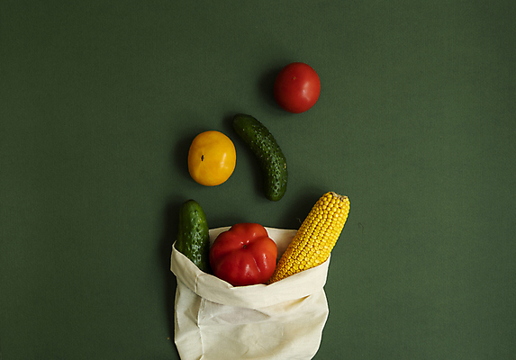 포토 JPG 해외이미지 라이프스타일 디자인 잡화 지구 음식 컨셉 토마토 채소 가방 오이 건강 옥수수 사람없음 초록색 쇼핑 농장 환경 주방 재활용 직물 신선 면 브로콜리 플라스틱 에코 유기농 생태계 날것 후추 유지 낭비 내추럴 영 무료 생태학 줄이기 채식주의자 해외포토 웰빙 교육 컬러 농업 모션 재질 곡류 생활 숫자 향신료 친환경 채식 파일형식 이미지허브