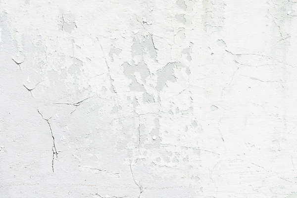 포토 JPG 해외이미지 디자인 벽 백그라운드 일러스트 표면 날씨 추상 프레임 흑백 미술 사람없음 내부 빛 페인트 공백 손상 회색 수확 골동품 흰색 시골 거친 그리기 질감 복고 시멘트 페이지 그런지 양피지 옛날 해외일러스트 컬러 컨셉 무늬 농업 모션 문화예술 촬영기법 파일형식 이미지허브