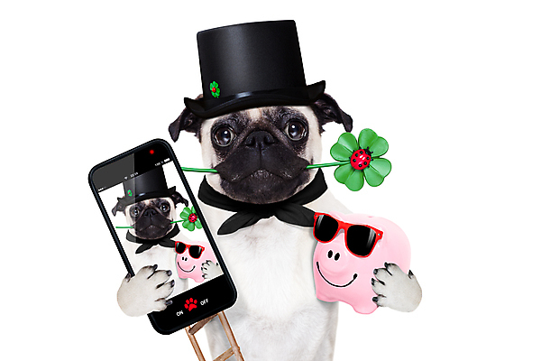 포토 JPG 해외이미지 동물 기념일 행복 포스터 벽 잎 크리스마스 겨울 사다리 휴가 새로움 굴뚝 사랑 사람없음 스마트폰 핸드폰 반려동물 파티 카메라 사진촬영 방 축하 인사 4 행운 유머 개 클로버 테리어 연도 사진사 전화기 무당벌레 슛 고립 미신 해외포토 식물 계절 감정 곤충 컨셉 포유류 이벤트 전자제품 스마트기기 숫자 촬영 도구 예절 작가 파일형식 이미지허브