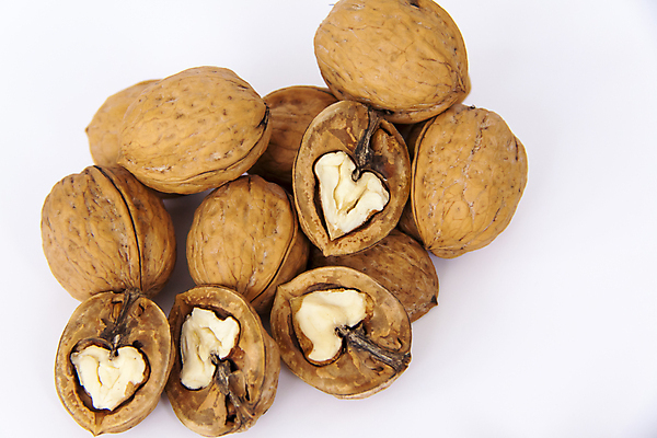 포토 JPG 해외이미지 단면 건조 사람없음 껍질 낟알 흰배경 알맹이 호두 해외포토 백그라운드 견과류 흰색 파일형식 이미지허브