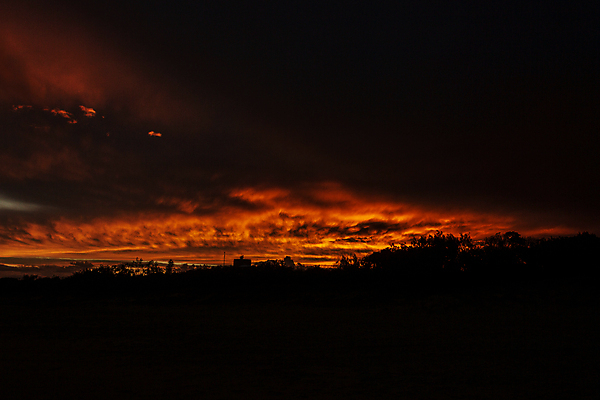 포토 JPG 해외이미지 모래 오렌지 사람없음 여름 황금 해외포토 계절 과일 파일형식 이미지허브