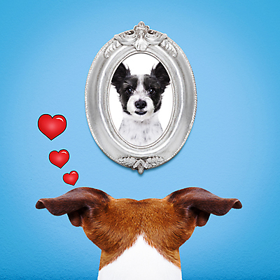 포토 JPG 해외이미지 동물 배너 커플 응시 기념일 행복 벽 결혼 데이트 관계 프레임 발렌타인데이 사랑 사람없음 반려동물 우주 우정 방 신혼여행 하트 신용카드 생일 날짜 유머 개 테리어 손목시계 쇼 노려봄 판지 카피스페이스 해외포토 모양 시선 감정 시계 장신구 포유류 데이이벤트 표정 이벤트 금융 친구 공백 파일형식 이미지허브