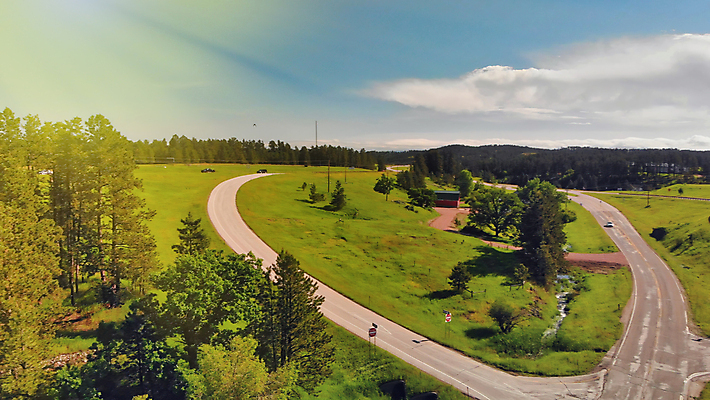 포토 JPG 해외이미지 여행 자연 조류 새로움 산 안테나 풍경 사람없음 초록색 뷰티 미국 소나무 해충 숲 딱정벌레 언덕 남쪽 내추럴 서쪽 얇은 해외포토 나무 동물 컬러 곤충 컨셉 북아메리카 통신 벌레 방향 생태계 파일형식 이미지허브