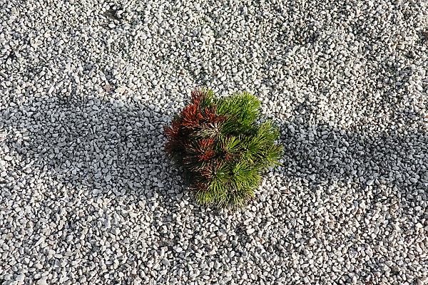 포토 JPG 해외이미지 모래 벽 바다 백그라운드 패턴 자연 표면 추상 사람없음 초록색 회색 거친 묘사 질감 시멘트 내추럴 옛날 콘크리트 화강암 해외포토 컬러 무늬 암석 생태계 파일형식 이미지허브