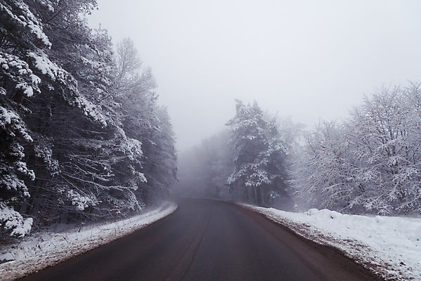 포토 JPG 해외이미지 나무 계절 도로 여행 백그라운드 잎 겨울 자연 하늘 아침 산 풍경 사람없음 야외 빛 햇빛 환경 냉동 운전 추위 안개 흰색 시골 숲 신비 공상 마법 내추럴 굴곡 뿌연 삼림지대 해외포토 주간 식물 길 컬러 컨셉 교통시설 모션 날씨 태양 생태계 파일형식 이미지허브
