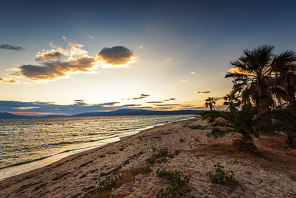 포토 JPG 해외이미지 나무 식물 실루엣 모래 바다 섬 여행 백그라운드 잎 오렌지 자연 하늘 휴가 휴식 손바닥 사람없음 야외 초록색 물 컬러풀 햇빛 태양 노란색 일출 맑음 일몰 새벽 꿈 고급 저녁 숲 휴양지 코코넛 내추럴 이국적 파라다이스 해외포토 자연요소 손 컬러 컨셉 과일 날씨 촬영기법 노을 장소 야간 생태계 파일형식 이미지허브