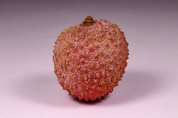 포토 JPG 해외이미지 실내 사람없음 한개 열대과일 리치 분홍색배경 해외포토 1 분홍색 백그라운드 과일 내부 파일형식 이미지허브