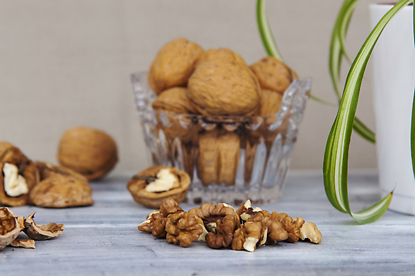 포토 JPG 해외이미지 화분 잎 단면 건조 사람없음 껍질 낟알 알맹이 나무바닥 호두 유리그릇 해외포토 식물 그릇 유리 바닥 견과류 파일형식 이미지허브