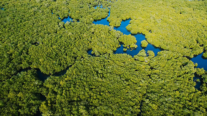 포토 JPG 해외이미지 나무 식물 공원 아시아 길 바다 섬 여행 잎 자연 하늘 안테나 풍경 사람없음 야외 목재 초록색 물 강 흰색 숲 열대우림 묘사 항공 내추럴 드론 조감도 해외포토 자연요소 공공시설 나라 컬러 재료 통신 생태계 파일형식 이미지허브