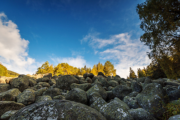 포토 JPG 해외이미지 나무 식물 공원 백그라운드 잎 자연 따뜻함 사람없음 야외 목재 빨간색 귀여움 환경 맑음 무대 분위기 떨어짐 숲 돌산 언덕 만족 질감 지역 자원 몽환 해외포토 공공시설 감정 컬러 컨셉 재료 날씨 산 생태계 파일형식 이미지허브