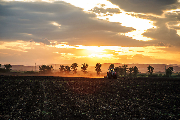 포토 JPG 해외이미지 식물 구름 계절 산업 밭 농업 자연 하늘 씨앗 풍경 사람없음 야외 여름 농작물 농장 농경지 일출 기계 일몰 흙 장비 수확 가을 시골 업무 농부 땅 만취 준비 먼지 트랙터 밭일 쟁기 파종 해외포토 자연요소 직업 노을 농사 작업 농기계 생태계 특수차량 술취함 파일형식 이미지허브