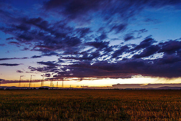 포토 JPG 해외이미지 식물 계절 백그라운드 밭 농업 오렌지 자연 하늘 날씨 옥수수 사람없음 야외 빨간색 초록색 파란색 빛 농작물 햇빛 태양 농장 농경지 노란색 일출 환경 어둠 황혼 일몰 봄 새벽 시골 황금 저녁 땅 장면 폭풍 넘어짐 수평선 해외포토 자연요소 산업 컬러 과일 모션 곡류 노을 야간 생태계 파일형식 이미지허브