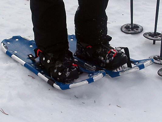 포토 JPG 해외이미지 주간 겨울 발 산 야외 신체부위 등산 하이킹 등산스틱 설피 눈내림 겨울풍경 설산 해외포토 자연요소 계절 레저 눈_날씨 사람 풍경 트래킹 등산용품 파일형식 이미지허브