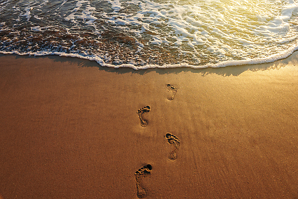 포토 JPG 해외이미지 길 모래 파도 바다 여행 백그라운드 오렌지 자연 아침 휴가 휴식 해변 사람없음 야외 물 햇빛 태양 일출 일몰 산책 자유 인쇄 발자국 단계 양발 해외포토 주간 자연요소 컨셉 과일 자국 노을 생태계 파일형식 이미지허브