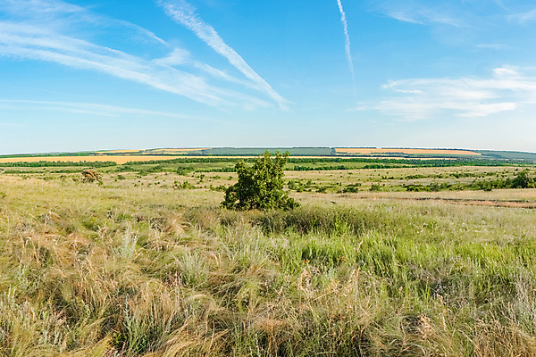 포토 JPG 해외이미지 나무 식물 꽃 도로 길 여행 백그라운드 밭 농업 자연 하늘 날씨 파노라마 사람없음 야외 초록색 파란색 태양 농장 일출 환경 맑음 일몰 봄 흰색 시골 숲 땅 언덕 정사각형 먼지 밭일 전국 수평선 해외포토 자연요소 도형 계절 산업 컬러 교통시설 촬영기법 노을 생태계 파일형식 이미지허브