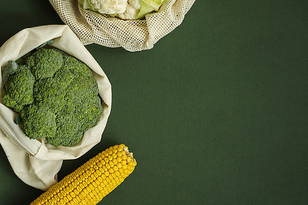 포토 JPG 해외이미지 라이프스타일 디자인 잡화 지구 음식 컨셉 토마토 채소 가방 오이 건강 옥수수 사람없음 초록색 쇼핑 농장 환경 주방 재활용 직물 신선 면 브로콜리 플라스틱 에코 유기농 생태계 날것 후추 유지 낭비 내추럴 영 무료 생태학 줄이기 채식주의자 해외포토 웰빙 교육 컬러 농업 모션 재질 곡류 생활 숫자 향신료 친환경 채식 파일형식 이미지허브