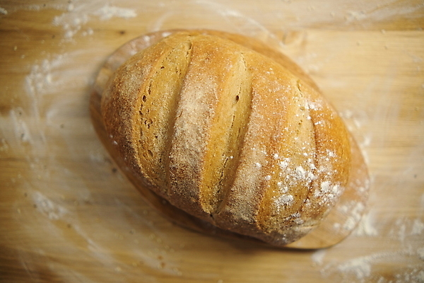 포토 JPG 해외이미지 손 여자 음식 빵 조각 백그라운드 다이어트 탁자 샌드위치 건강 요리 사람없음 갈색 주방 요리사 식사 저녁식사 빵집 껍질 흰색 시골 신선 칼 맛 아침식사 낟알 자르기 밀 굽기 먹기 유기농 슬라이스 밀가루 토스트 덩어리 내추럴 제빵사 페스츄리 핸드메이드 해외포토 직업 웰빙 컬러 가구 컨셉 모션 곡류 사람 신체부위 상점 가루 구이 파일형식 이미지허브