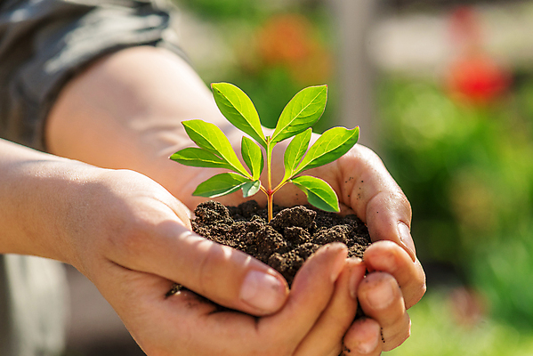 포토 JPG 해외이미지 손 잎 자연 들기 아웃포커스 신체부위 새싹 잡기 소프트포커스 에코 생태계 해외포토 식물 모션 촬영기법 사람 환경 파일형식 이미지허브