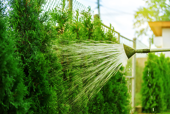 포토 JPG 해외이미지 식물 꽃 밭 농업 자연 하늘 잔디 사람없음 야외 초록색 물 빛 햇빛 정원 맑음 봄 장비 흐름 에너지 성장 시골 붓기 떨어짐 빨래 뿌리기 분수 원예 번짐 분무기 제트기 시스템 호스 땅바닥 샤워실 스프링쿨러 해외포토 자연요소 계절 산업 컬러 컨셉 가사 모션 날씨 바닥 비행기 취미 태양 생태계 샤워시설 파일형식 효과 이미지허브