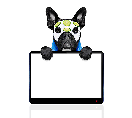 포토 JPG 해외이미지 동물 배너 얼굴 인터넷 신체 휴식 오이 프레임 건강 가면 사람없음 치료 노트북 반려동물 컴퓨터 뷰티 상점 스크린 칠판 스파 목욕 화장품 방 목욕가운 판넬 센터 유머 개 빨래 피부 크림 명상 피부관리 비누 로션 테라피 사우나 몸단장 내추럴 고립 돌봄 수분크림 위생관리 해외포토 감정 컨셉 가사 채소 포유류 의학 모션 관리 신체부위 전자제품 위생용품 청결 가운 파일형식 이미지허브