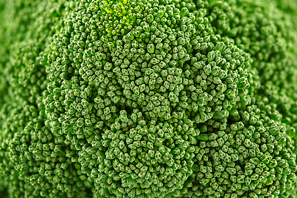 포토 JPG 해외이미지 식물 라이프스타일 접시 음식 백그라운드 컨셉 농업 다이어트 채소 재료 자연 건강 요리 사람없음 초록색 주방 식사 저녁식사 샐러드 수확 흰색 신선 맛 브로콜리 오브젝트 상쾌 유기농 양배추 날것 성분 내추럴 점심식사 생식 숙성 채식주의자 비건 해외포토 식기 웰빙 감정 산업 컬러 생활 생태계 채식 파일형식 이미지허브