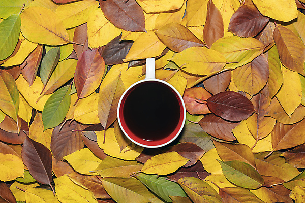 포토 JPG 해외이미지 계절 음료 음식 백그라운드 컨셉 단풍 잎 겨울 자연 탁자 아침 따뜻함 관리 사람없음 목재 컵 컬러풀 노란색 유행 우주 검은색 목도리 카페 할로윈 머그컵 수확 흰색 시골 뜨거움 아침식사 정상 편안함 질감 카푸치노 에스프레소 내추럴 라떼 옛날 카페인 해외포토 주간 나무 식물 식기 잡화 커피 컬러 가구 농업 재료 상점 식사 감각 생태계 파일형식 이미지허브