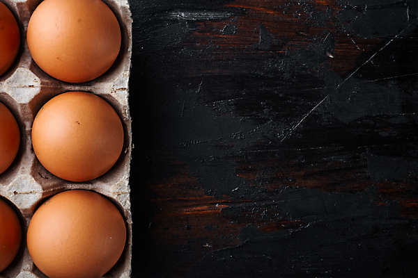 포토 JPG 해외이미지 음식 식재료 사람없음 하이앵글 계란 계란판 카피스페이스 해외포토 뷰포인트 알 공백 파일형식 이미지허브