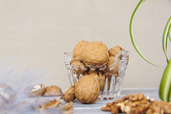 포토 JPG 해외이미지 잎 건조 사람없음 껍질 낟알 알맹이 나무바닥 호두 유리그릇 해외포토 식물 그릇 유리 바닥 견과류 파일형식 이미지허브