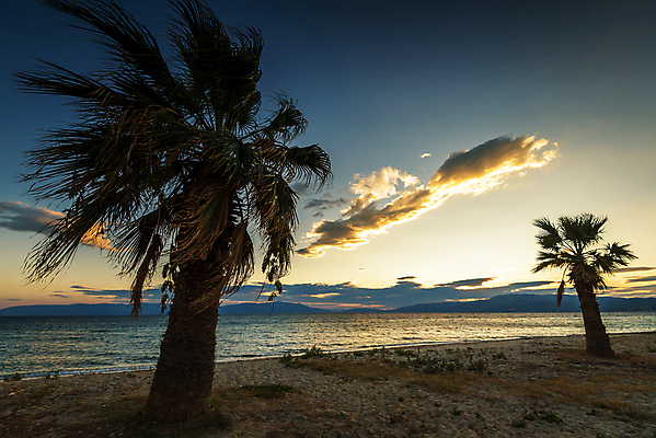 포토 JPG 해외이미지 나무 식물 실루엣 모래 바다 섬 여행 백그라운드 잎 오렌지 자연 하늘 휴가 휴식 손바닥 사람없음 야외 초록색 물 컬러풀 햇빛 태양 노란색 일출 맑음 일몰 새벽 꿈 고급 저녁 숲 휴양지 코코넛 내추럴 이국적 파라다이스 해외포토 자연요소 손 컬러 컨셉 과일 날씨 촬영기법 노을 장소 야간 생태계 파일형식 이미지허브