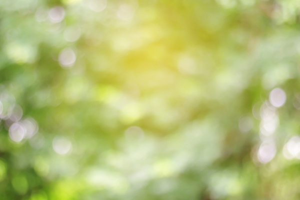 포토 JPG 해외이미지 나무 템플릿 디자인 계절 종이 백그라운드 컨셉 잎 패턴 자연 벽지 추상 미술 경사 사람없음 그래픽 장식 초록색 여름 빛 컬러풀 뷰티 우주 맑음 페인트 소프트포커스 질감 보케 부드러움 녹색배경 내추럴 블러 효과 해외포토 식물 컬러 무늬 날씨 문화예술 촬영기법 감각 생태계 파일형식 이미지허브