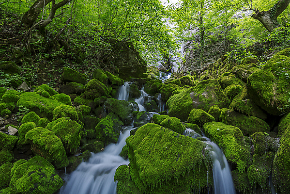 포토 JPG 해외이미지 나무 식물 계절 공원 유럽 호수 여행 컨셉 모션 자연 사람없음 야외 목재 초록색 물 빛 강 뷰티 환경 봄 폭포 하이킹 흐름 자유 나뭇가지 신선 개울 떨어짐 소프트포커스 숲 명상 강렬 생태학 해외포토 자연요소 공공시설 교육 나라 컬러 재료 레저 촬영기법 생태계 파일형식 이미지허브