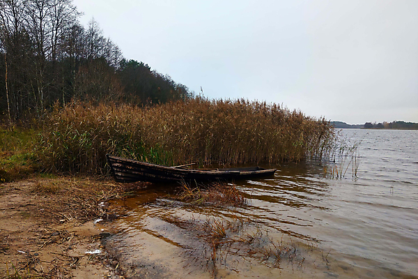 포토 JPG 해외이미지 구름 호수 모래 바다 여행 자연 하늘 아침 낚시 휴가 잉글랜드 산 풍경 사람없음 목재 초록색 물 여름 파란색 반사 평화 환경 고요 보트 분위기 고독 매끈함 숲 작음 언덕 노 싱글 노젓기 옛날 줄서기 혼자 컴브리아주 해외포토 주간 자연요소 나무 계절 감정 컬러 컨셉 재료 모션 레저 영국 배 감각 크기 생태계 선박 파일형식 이미지허브