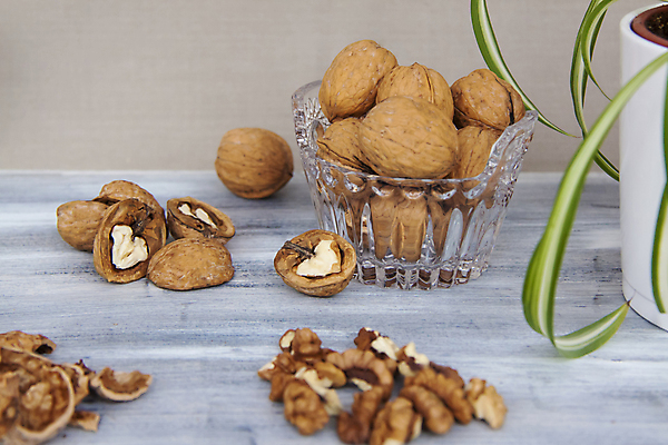 포토 JPG 해외이미지 화분 잎 단면 건조 사람없음 껍질 낟알 알맹이 나무바닥 호두 유리그릇 해외포토 식물 그릇 유리 바닥 견과류 파일형식 이미지허브