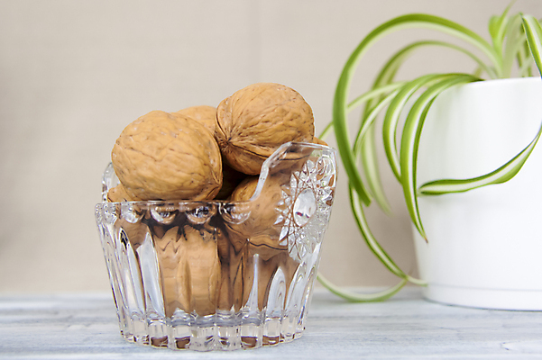 포토 JPG 해외이미지 화분 잎 건조 사람없음 껍질 낟알 알맹이 나무바닥 호두 유리그릇 해외포토 식물 그릇 유리 바닥 견과류 파일형식 이미지허브