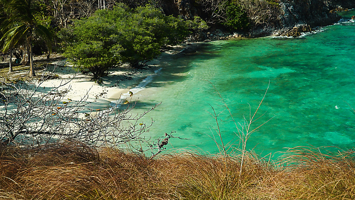 포토 JPG 해외이미지 나무 모래 바다 섬 여행 하늘 휴가 휴식 안테나 파노라마 풍경 사람없음 초록색 물 파란색 뷰티 맑음 암초 석호 내추럴 이국적 터키석 해외포토 자연요소 식물 컬러 컨셉 통신 날씨 촬영기법 보석 파일형식 이미지허브