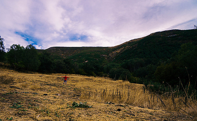 포토 JPG 해외이미지 나무 공원 모래 여행 밭 농업 자연 하늘 산 건조 파노라마 사람없음 야외 초록색 파란색 농장 노란색 봄 사막 시골 숲 언덕 내추럴 옛날 수평선 해외포토 식물 계절 공공시설 산업 컬러 촬영기법 생태계 파일형식 이미지허브