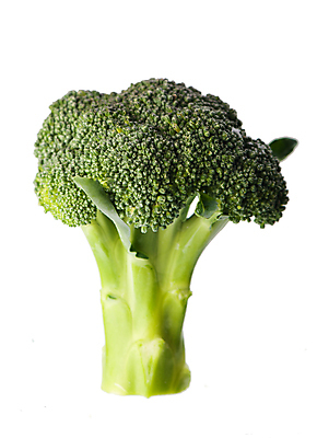 포토 JPG 해외이미지 채소 사람없음 초록색 농작물 브로콜리 해외포토 컬러 농업 파일형식 이미지허브