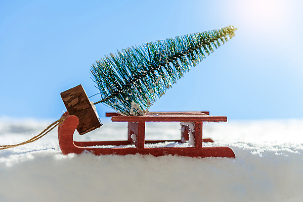 포토 JPG 해외이미지 나무 계절 백그라운드 크리스마스 겨울 휴가 새로움 사람없음 목재 장식 빨간색 쇼핑 장난감 산타클로스 쌓기 우주 놀람 운전 흰색 축하 소나무 연도 오브젝트 썰매 적재 고립 해외포토 식물 기념일 감정 컬러 컨셉 재료 모션 표정 파일형식 이미지허브