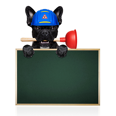 포토 JPG 해외이미지 동물 직업 손 배너 포스터 벽 노동자 주택 프레임 사람없음 반려동물 칠판 목욕 방 장비 욕실 엄지손가락 공구 스패너 최고 업무 판넬 수리 개 위생 헬멧 고정 불독 정비공 고무 편리함 유지 프랑스어 배관공 업그레이드 재주꾼 조작 해외포토 문자 컨셉 포유류 손가락 건물 신체부위 청결 도구 작업 기술자 보호장비 파일형식 이미지허브