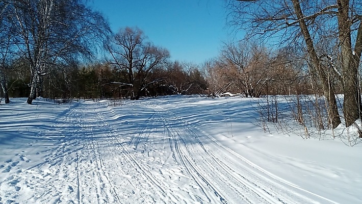 포토 JPG 해외이미지 나무 공원 실루엣 도로 조각 겨울 자연 새로움 그림자 풍경 사람없음 야외 목재 빛 컬러풀 햇빛 태양 냉동 얼음 침묵 줄무늬 추위 흰색 눈송이 숲 그늘 서리 자작나무 내추럴 자취 현상 눈내림 해외포토 자연요소 식물 계절 공공시설 길 컬러 컨셉 무늬 재료 교통시설 눈_날씨 촬영기법 소리 생태계 파일형식 이미지허브